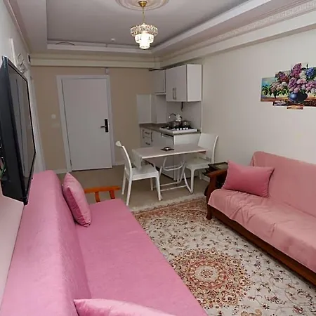 Altinkum Отель 3*