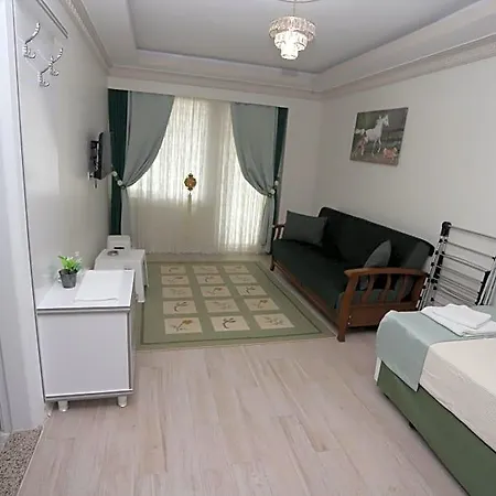 Отель Altinkum